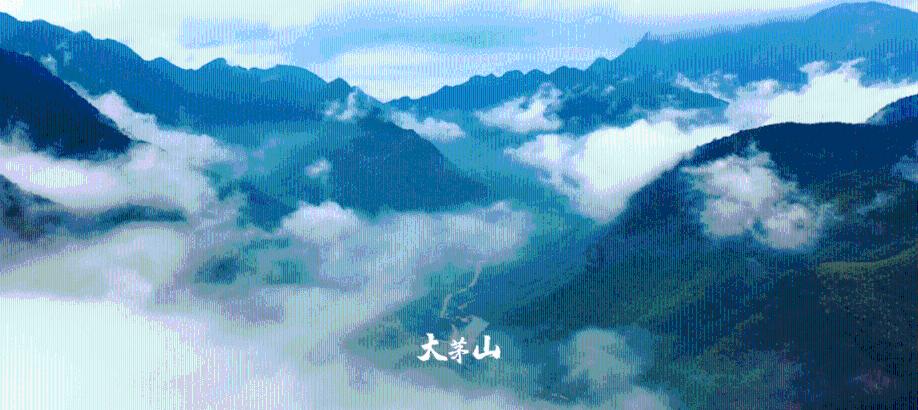 逃出白海豹洞